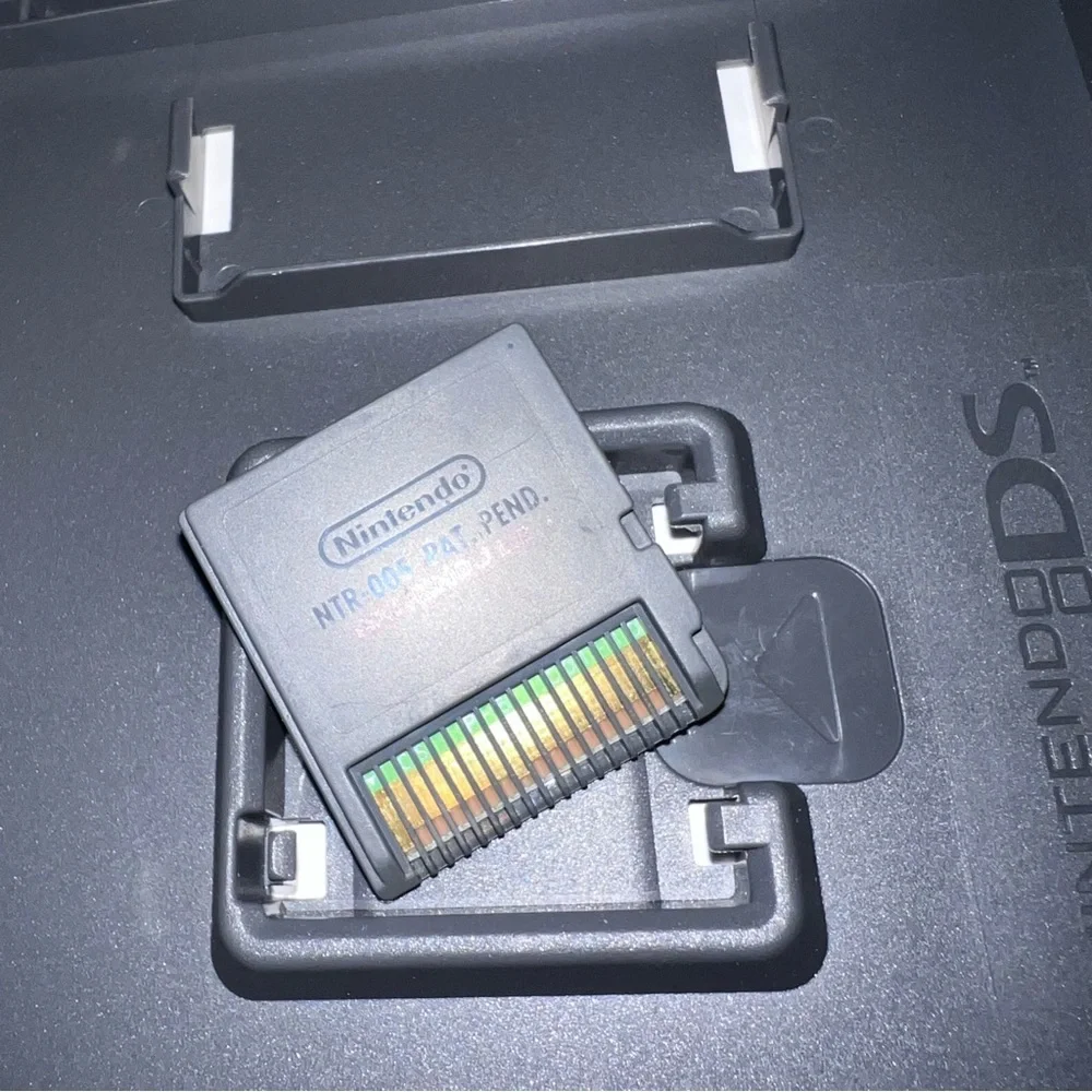Nintendo ds xia